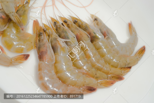 北美對蝦,大蝦,新鮮蝦