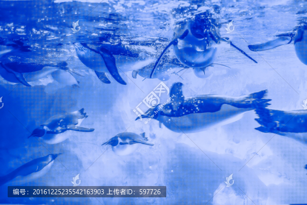海底世界
