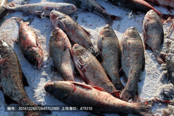冬捕,捕魚,TIF格式