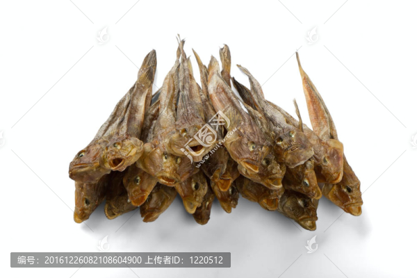 干魚