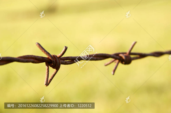 帶刺的