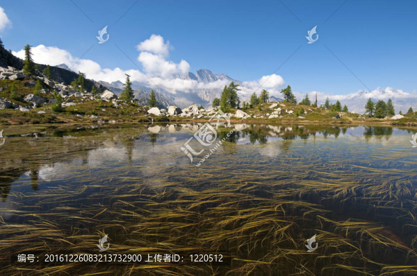高山湖泊