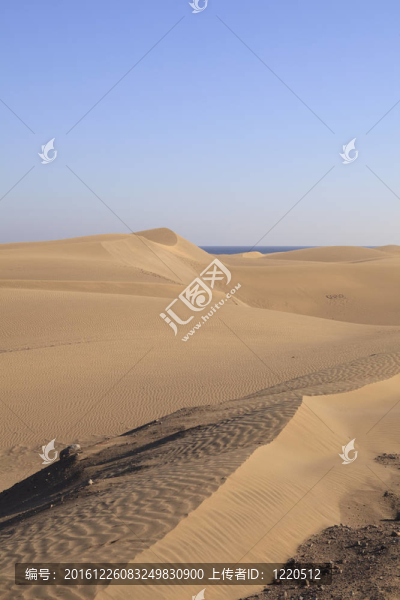沙丘景觀