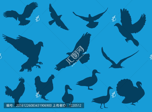 鳥