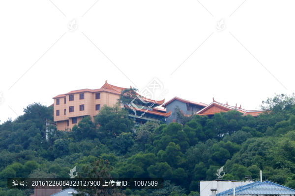 金雞山照天君宮