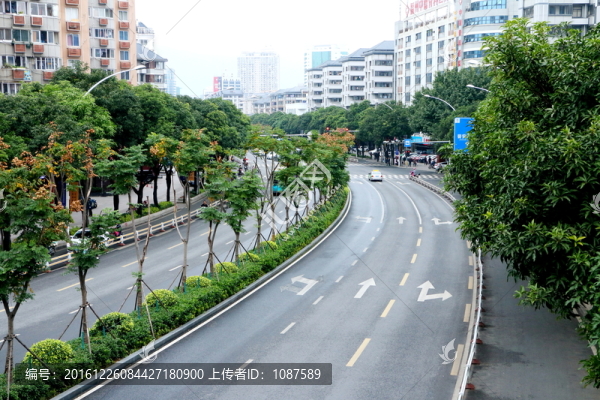 六一北路