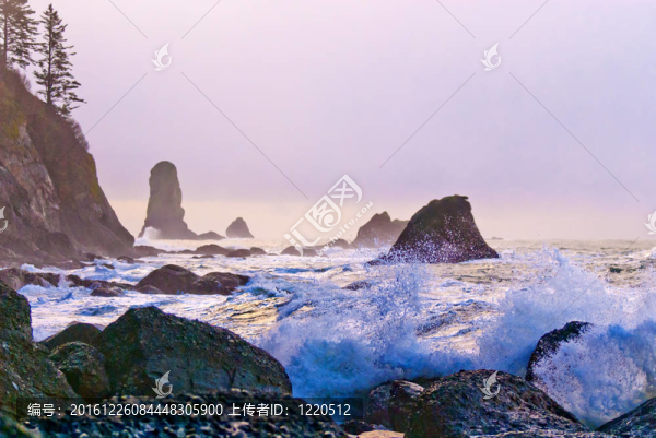La,Push海灘
