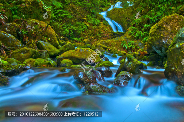 雨林瀑布