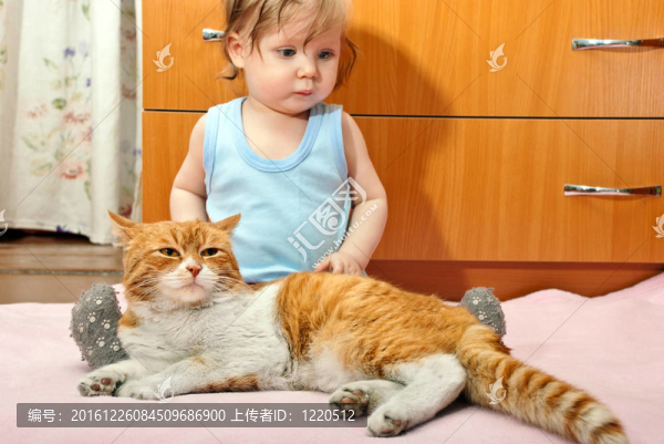 男孩和貓