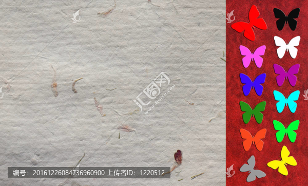 蝴蝶；紙卡片插圖
