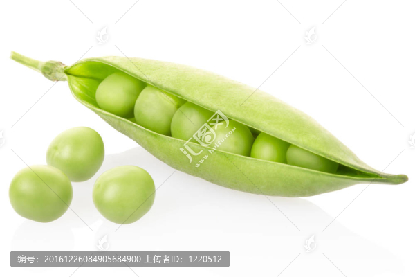 綠色的豌豆
