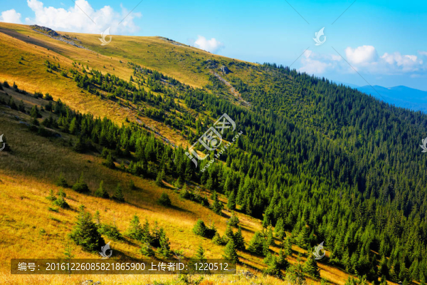 tarcu山