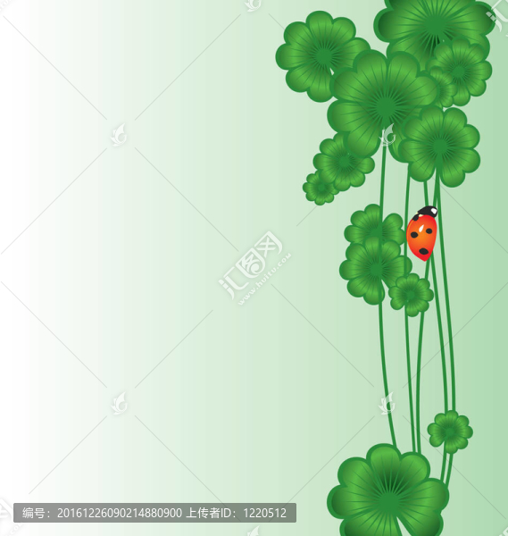 四葉草邊界上白色的圣帕特里克節(jié)瓢蟲