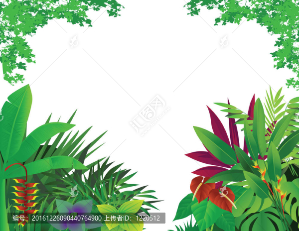 美麗的森林背景