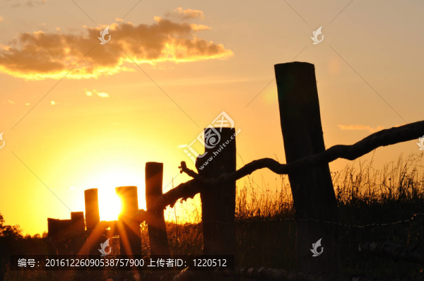 夏日的夕陽