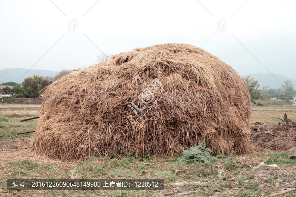 干草堆