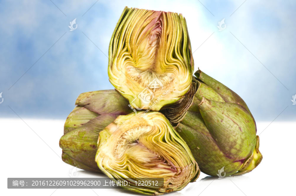 菊芋切片特寫拍攝