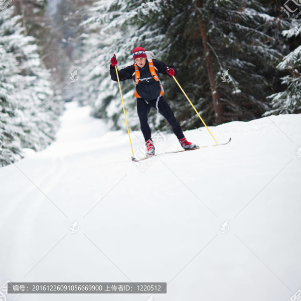 越野滑雪