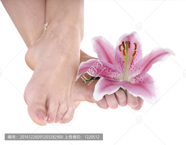 帶百合花的女人腳。