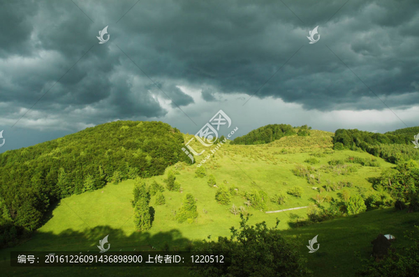 美麗的高山草甸