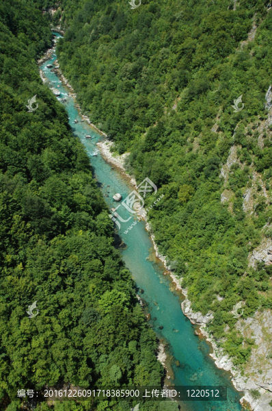 塔拉峽谷在黑山