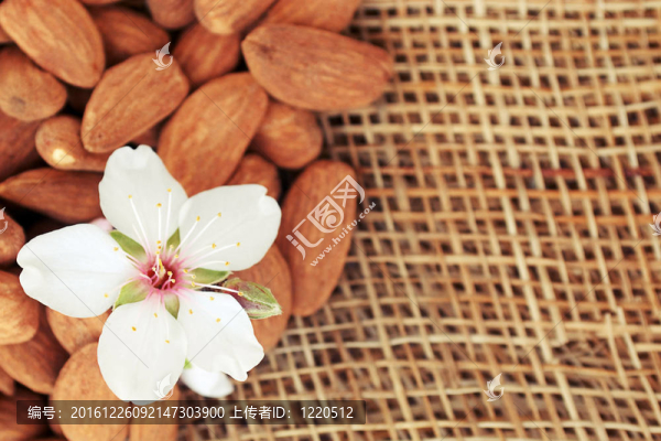 杏花