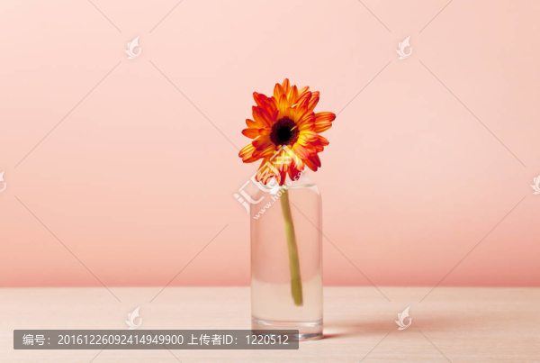 餐桌上的花
