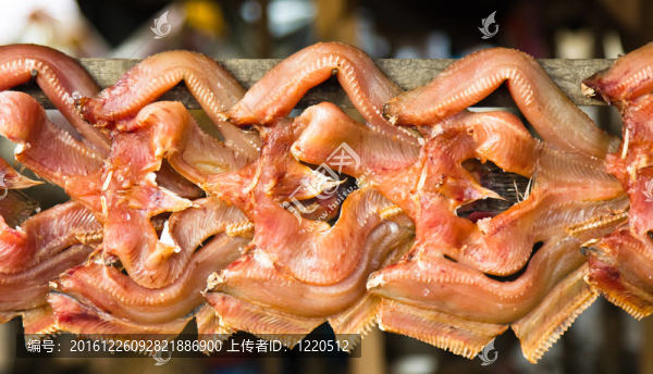 干魚出售
