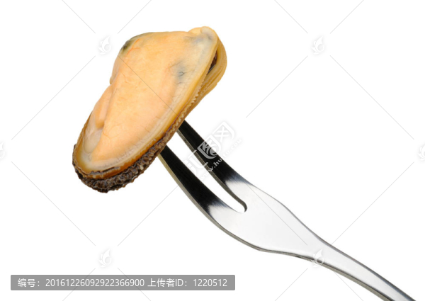 叉子上的貽貝