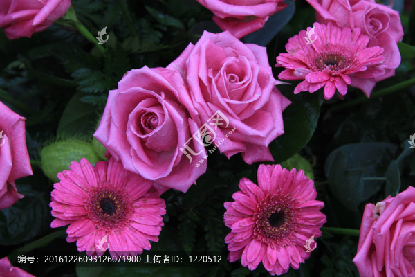 deeppinl插花