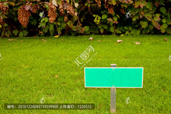 帶招牌和布什的綠色草地；水平射擊