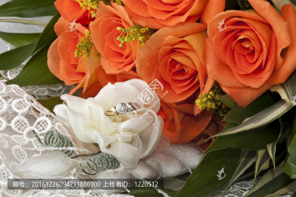 結(jié)婚禮物；結(jié)婚戒指和玫瑰花