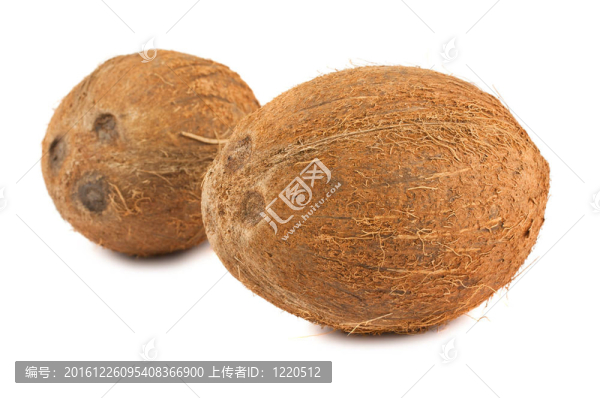兩熟椰子
