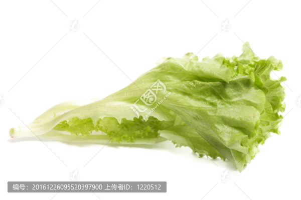 生菜沙拉。