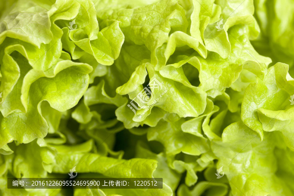 生菜沙拉。