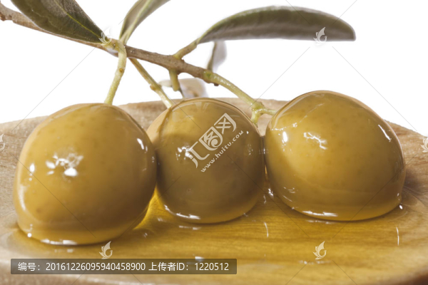 橄欖枝