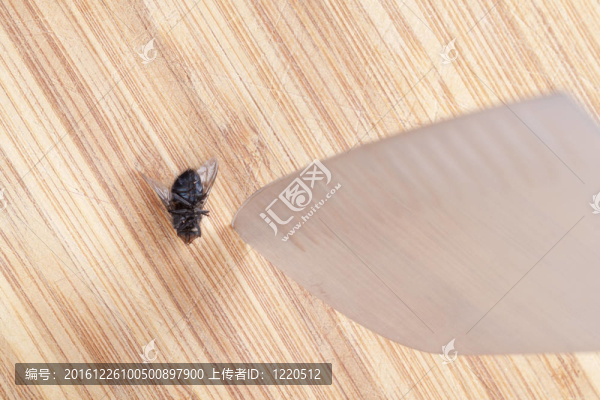 飛刀