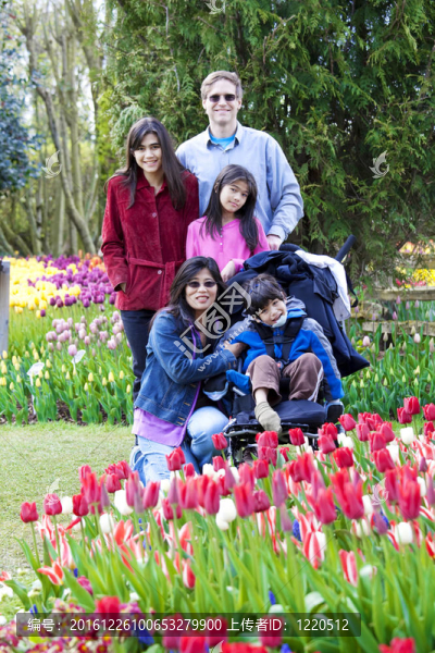 家庭與殘疾男孩在郁金香花園