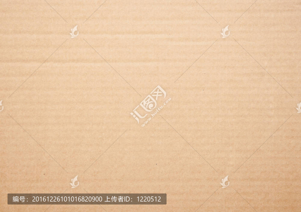 紙板