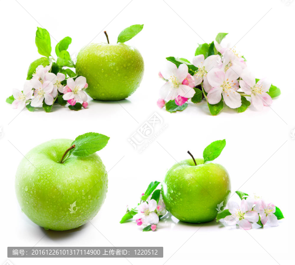 青蘋果花