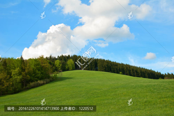 綠野與山林藍天