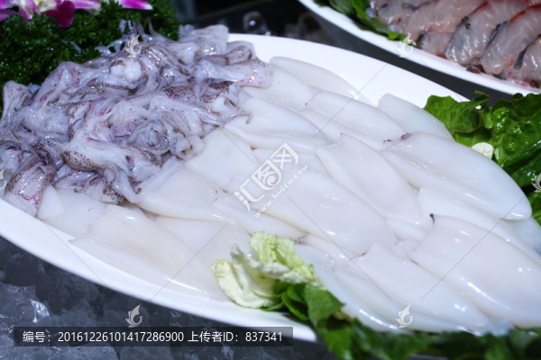 鮮魷