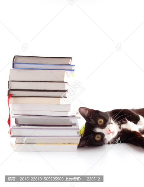貓的書