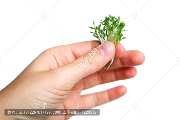 豆瓣