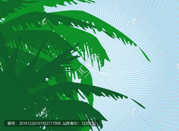 棕櫚的背景