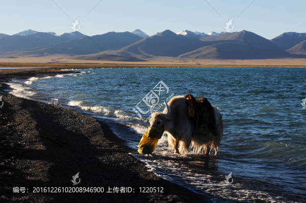 景觀在湖邊