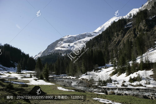 山