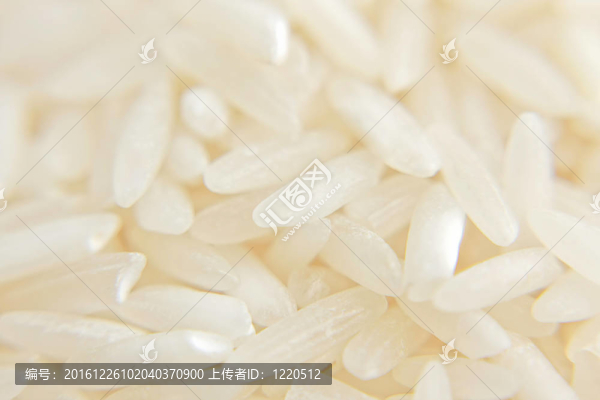 Rice的特寫