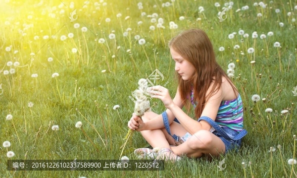 女孩與蒲公英
