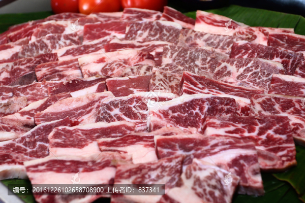 新鮮排骨肉